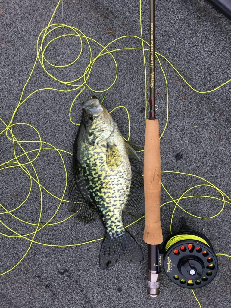 Crappie Fishing Tips and Information