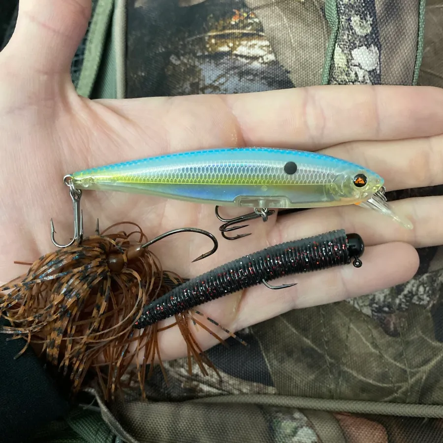 The Best Winter Bass Baits: An In-depth Look