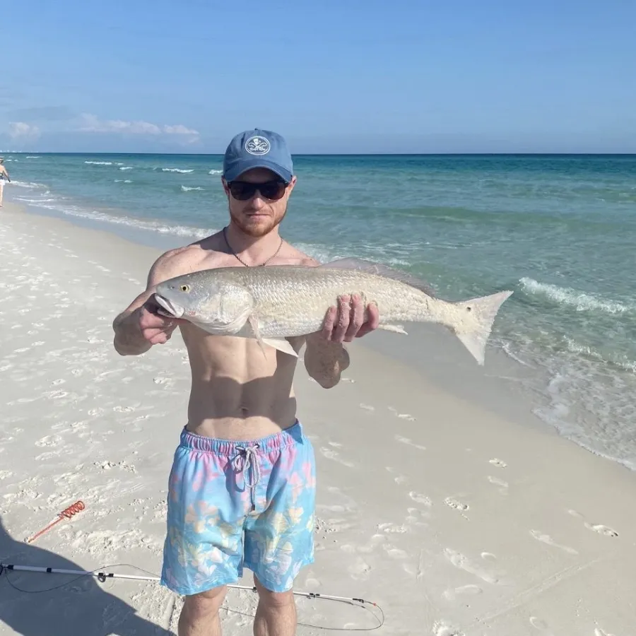 How To Catch Redfish From Shore: Beach Guide